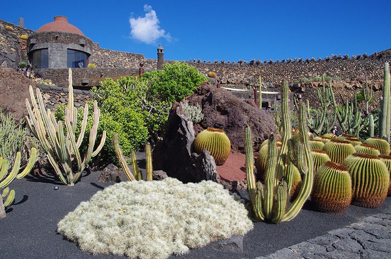 Jardin des cactus
