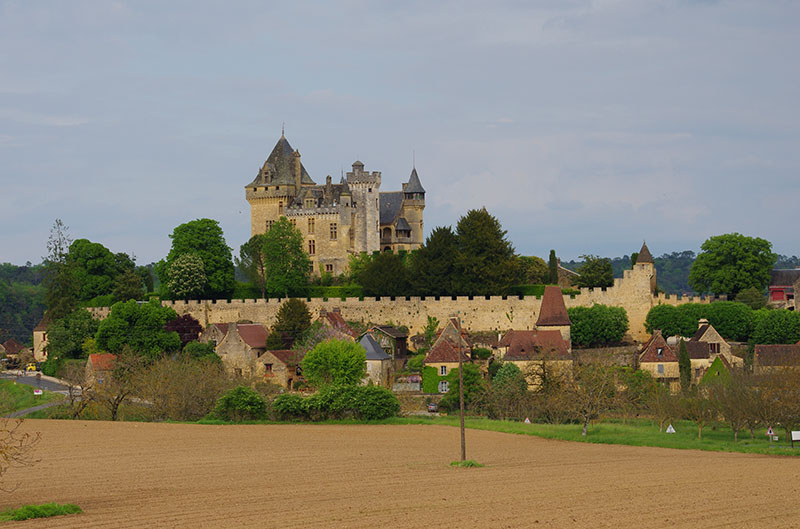 Montfort chateau