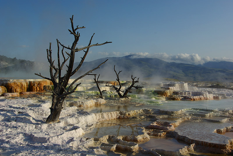 USA - Yellowstone Mammoth hot spring
