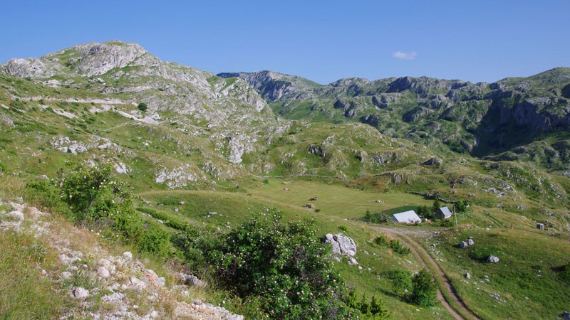 NP Durmitor