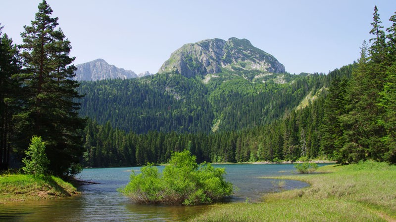 Lac noir NP Durmitor