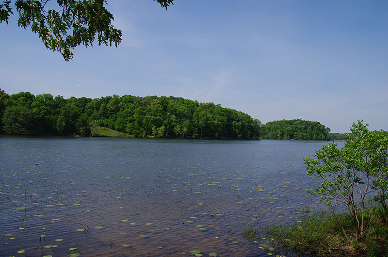 Kentucky - Land between the lakes