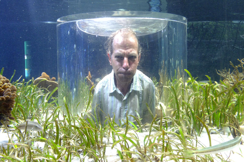 Nouméa - Aquarium des lagons