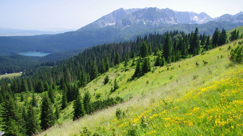 NP Durmitor