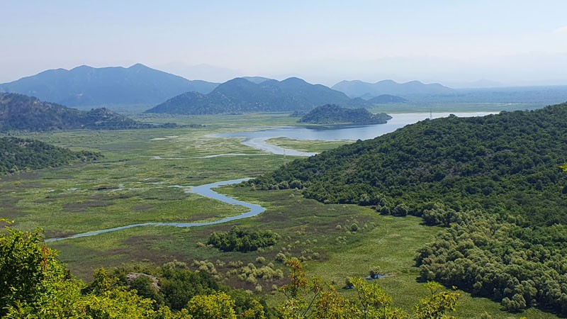 Lac de Skadar