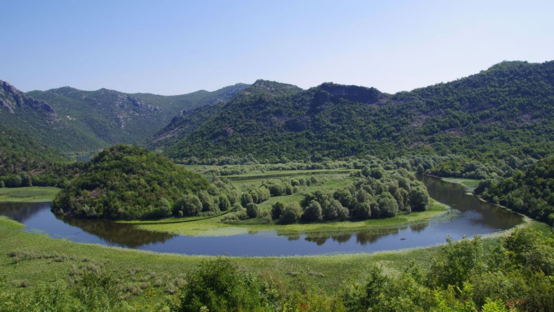 Lac de Skadar