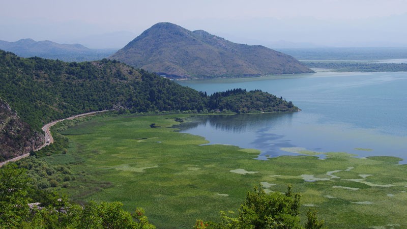 Lac de Skadar