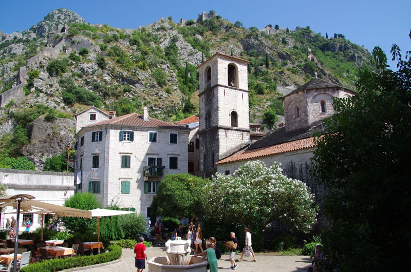 Kotor