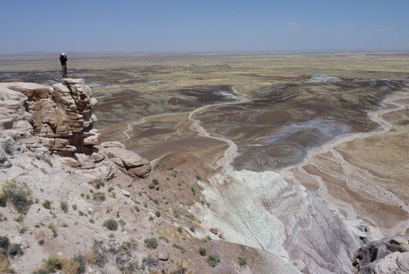 Petrified Forest NP 