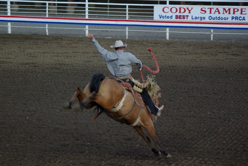Cody - Rodeo
