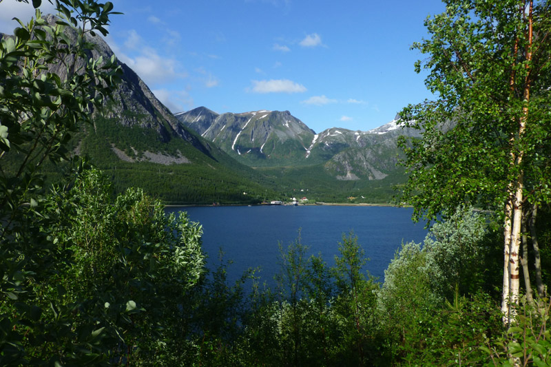 Tjongsfjorden